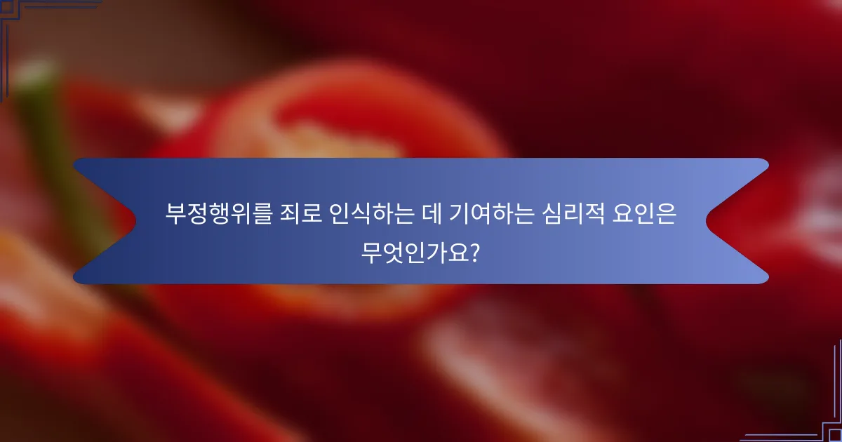 부정행위를 죄로 인식하는 데 기여하는 심리적 요인은 무엇인가요?