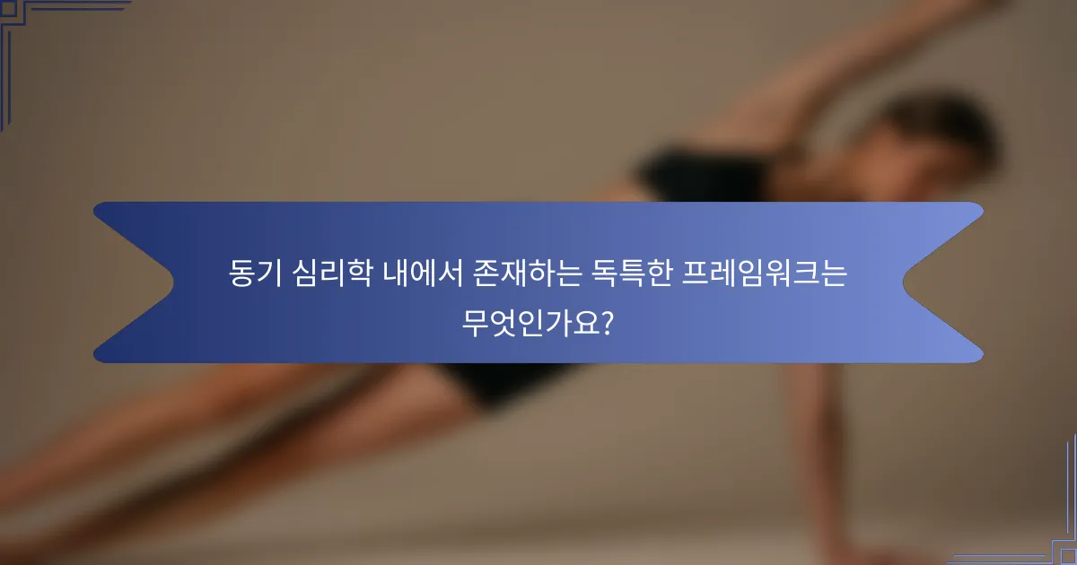 동기 심리학 내에서 존재하는 독특한 프레임워크는 무엇인가요?