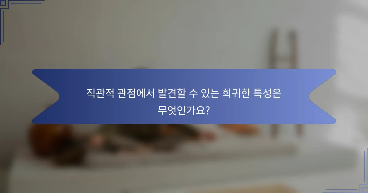 직관적 관점에서 발견할 수 있는 희귀한 특성은 무엇인가요?