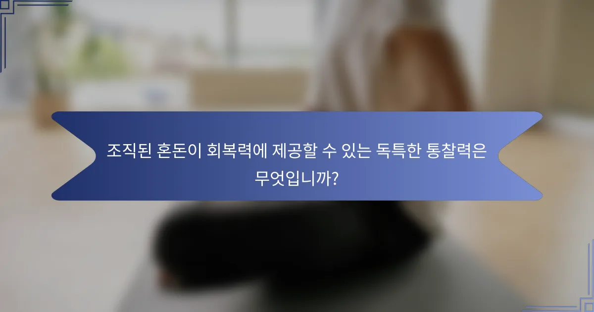 조직된 혼돈이 회복력에 제공할 수 있는 독특한 통찰력은 무엇입니까?