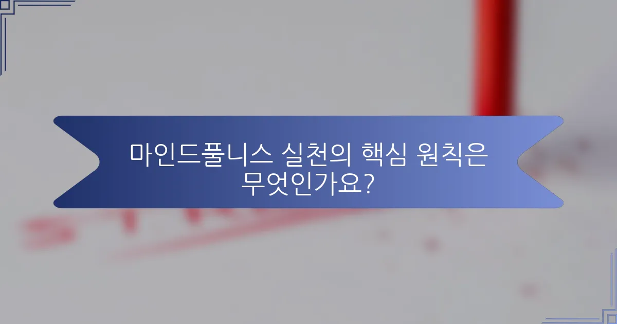 마인드풀니스 실천의 핵심 원칙은 무엇인가요?