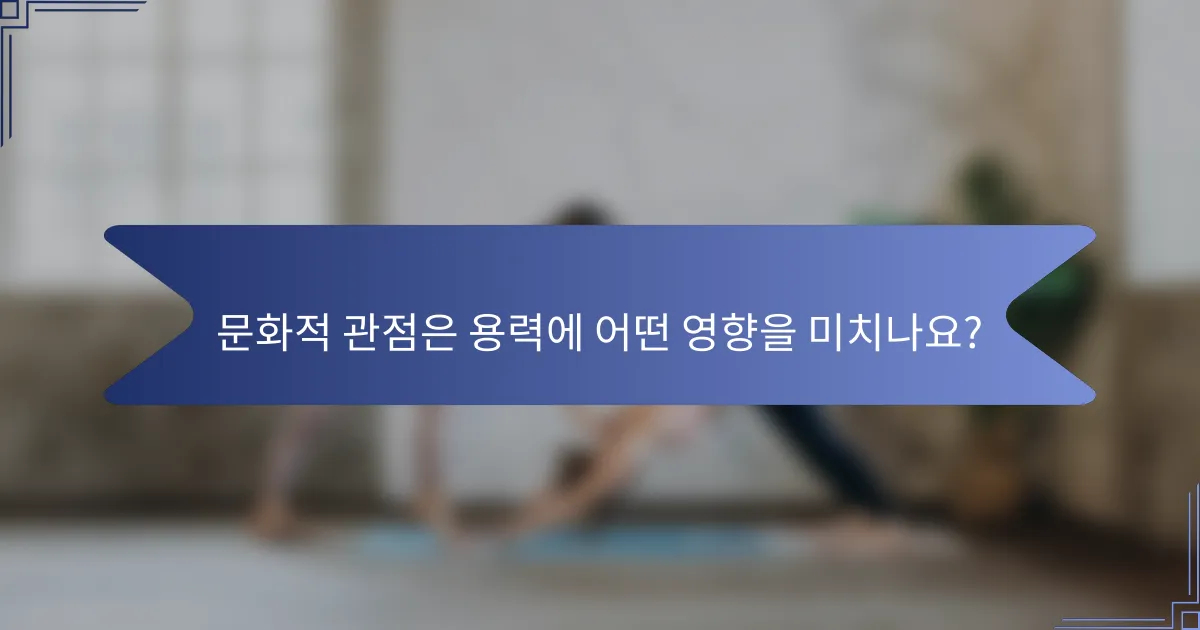 문화적 관점은 용력에 어떤 영향을 미치나요?