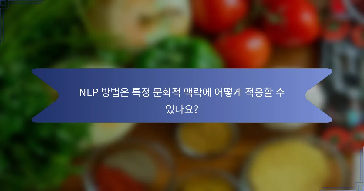 NLP 방법은 특정 문화적 맥락에 어떻게 적응할 수 있나요?