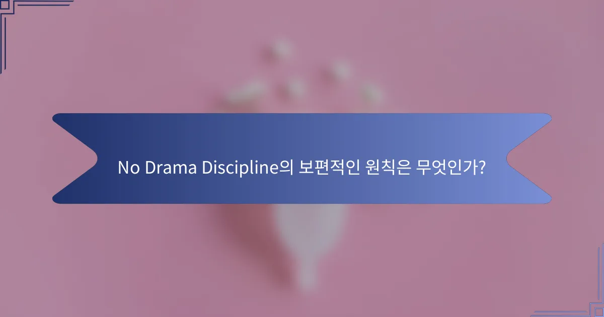 No Drama Discipline의 보편적인 원칙은 무엇인가?