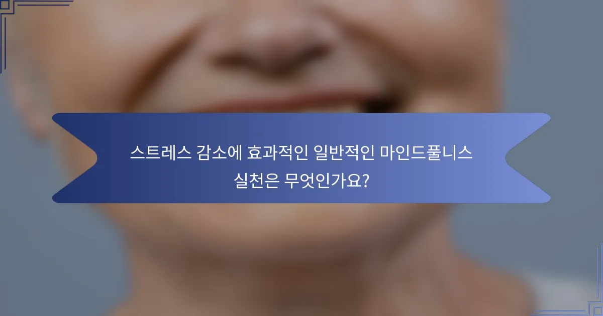 스트레스 감소에 효과적인 일반적인 마인드풀니스 실천은 무엇인가요?