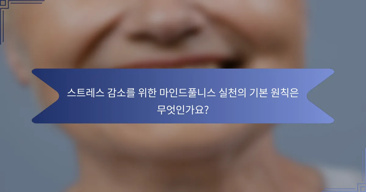 스트레스 감소를 위한 마인드풀니스 실천의 기본 원칙은 무엇인가요?
